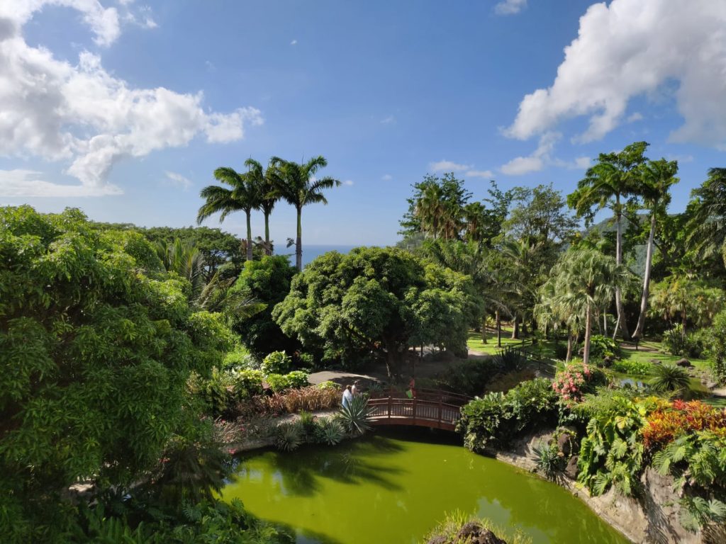 vue restaurant panoramique jardin botanique