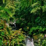 cascade de paradise à capesterre belle eau en guadeloupe