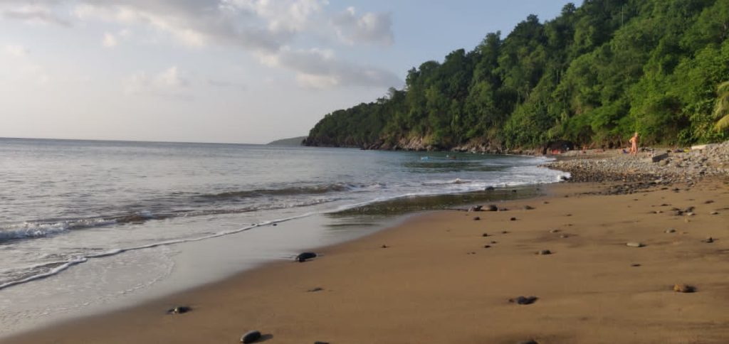 vue de la droite de la plage Caraïbes à Pointe-Noire en Guadeloupe