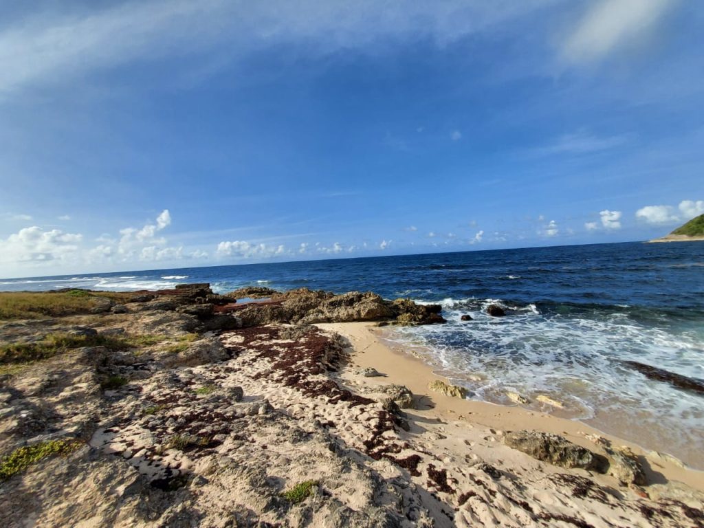 la plage rocailleuse de la Porte d'enfer du Moule en Grande Terre en Guadeloupe